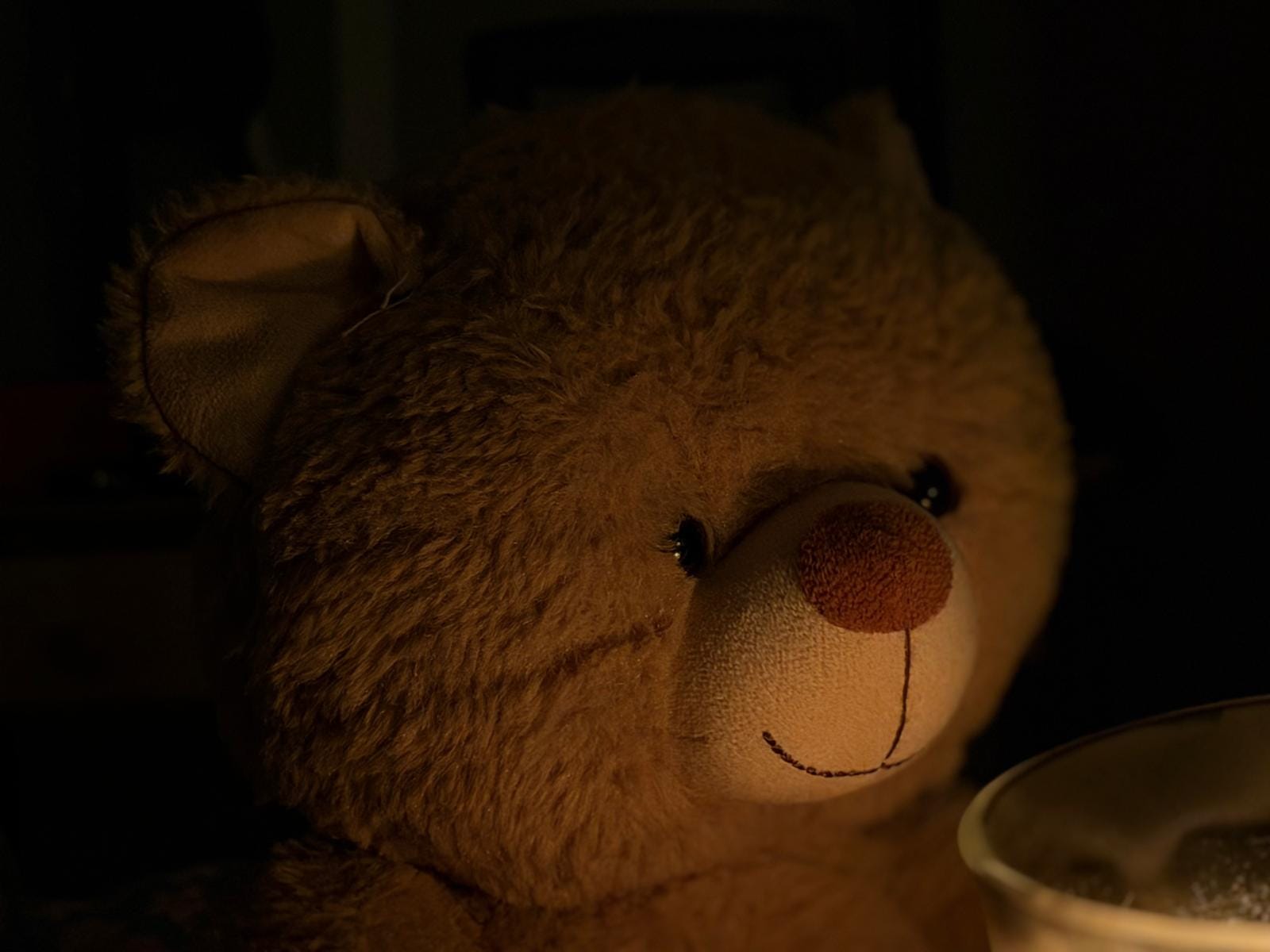 photo ours en peluche